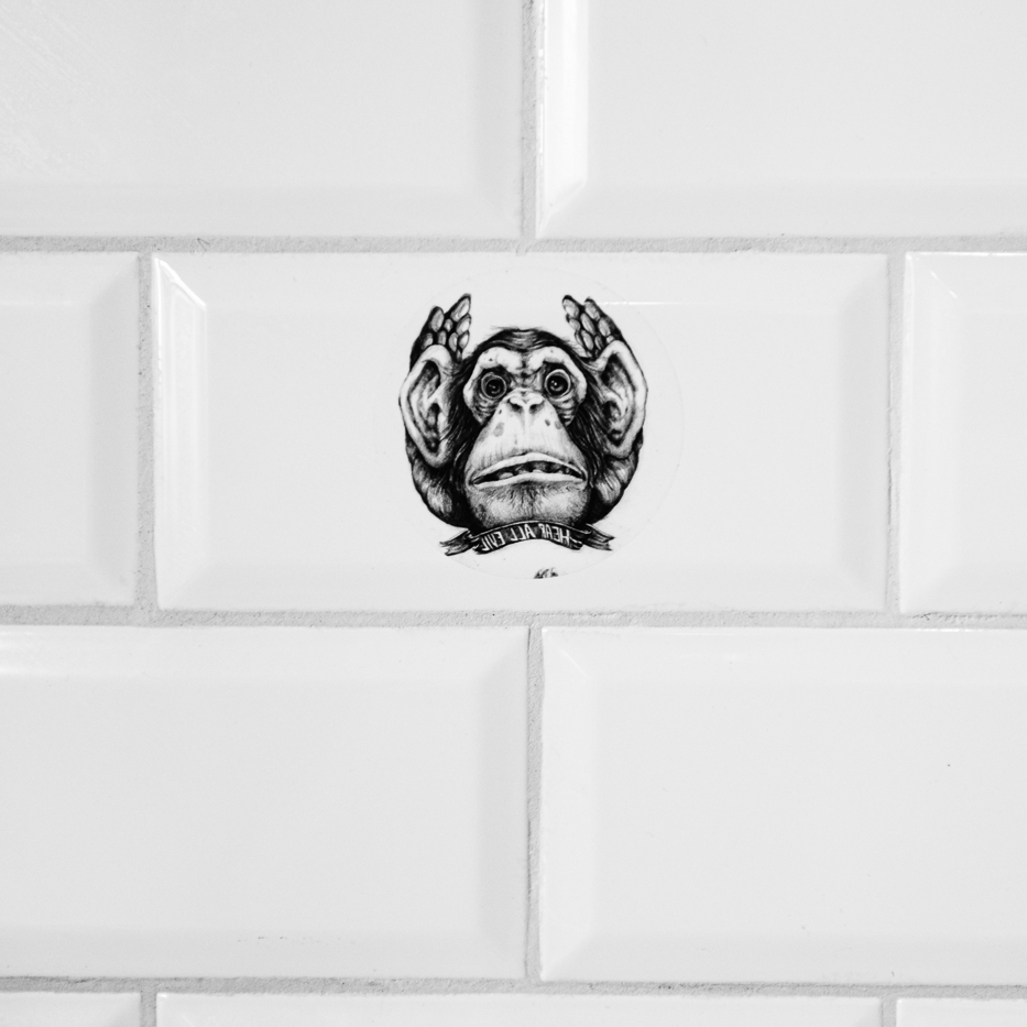 Grid gallery image
